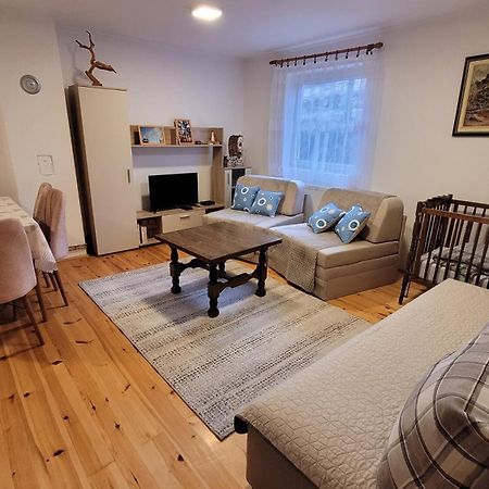 Zlatibor Apartmani Dm Tornik 外观 照片