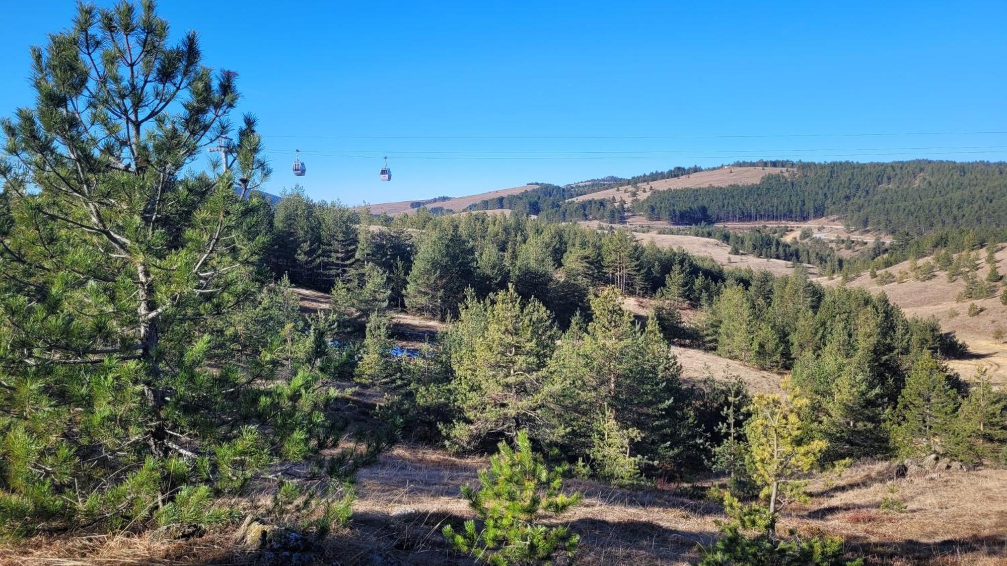 Zlatibor Apartmani Dm Tornik 外观 照片