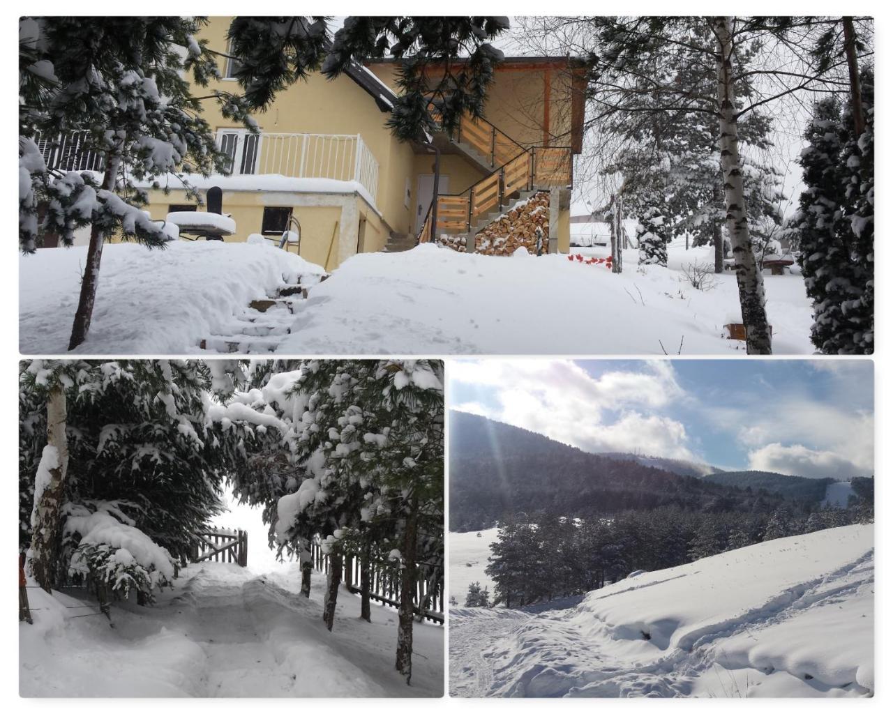 Zlatibor Apartmani Dm Tornik 外观 照片